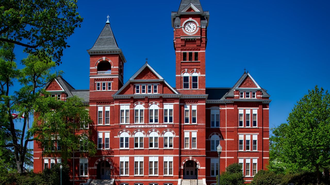 Higher education